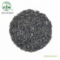 Jiulongshan Stir-fried 41022aaaaa Organic Chinese Chunmee Green Tea